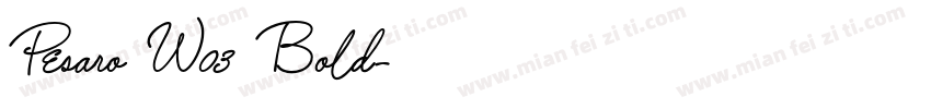 Pesaro W03 Bold字体转换